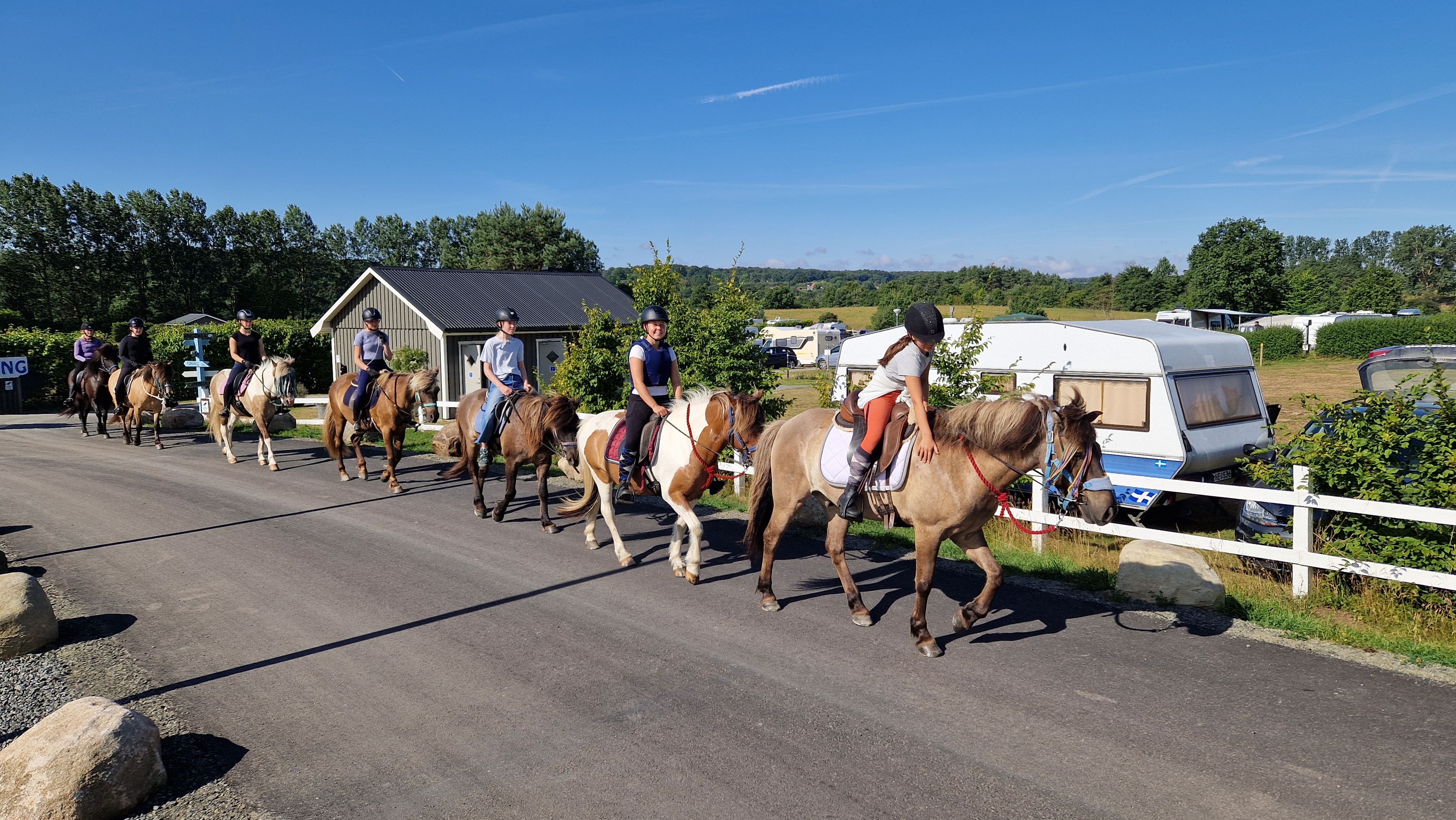 Vandrarhem - reception